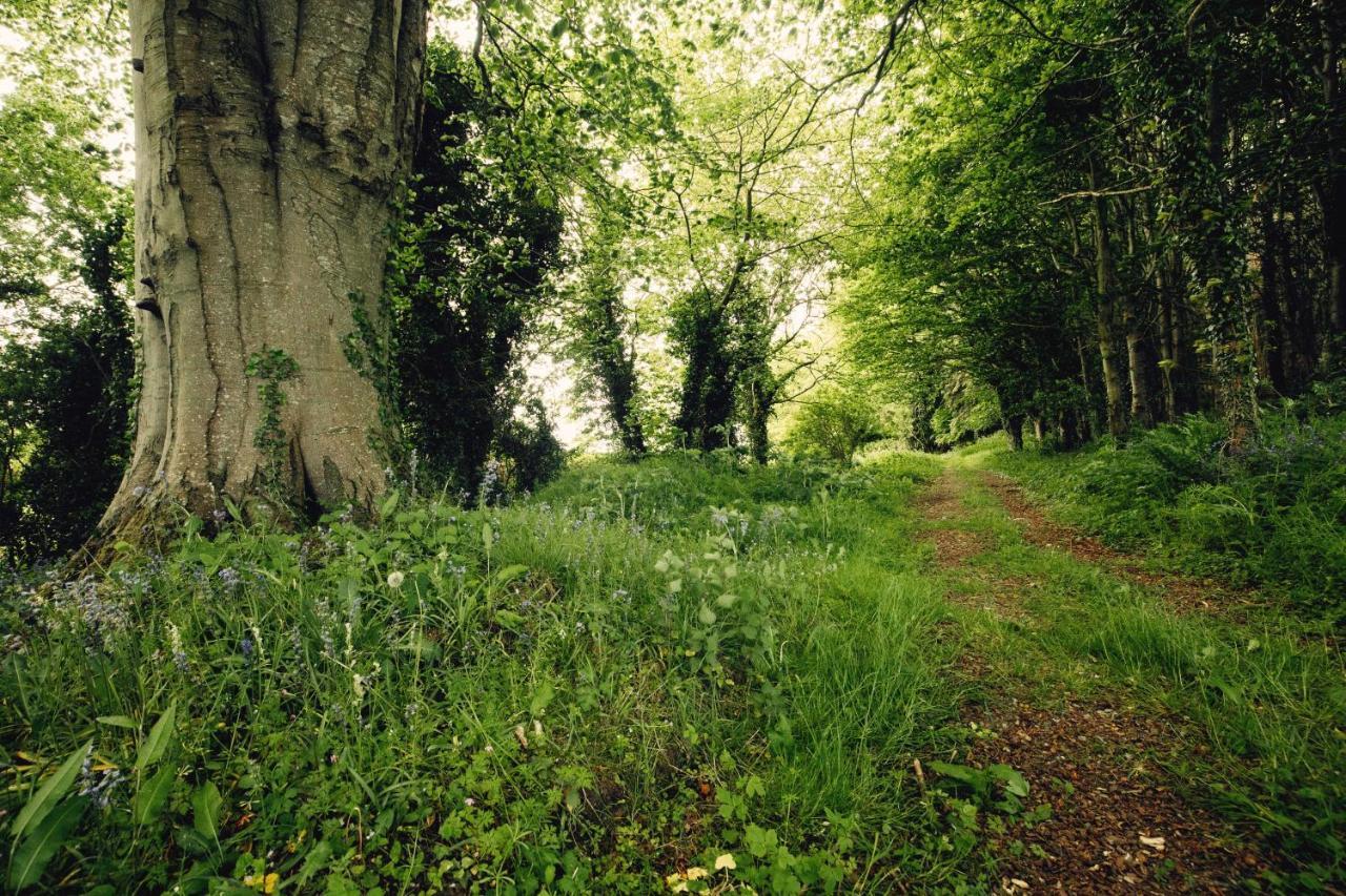 Castledillon Estate Cottage Armagh Dış mekan fotoğraf